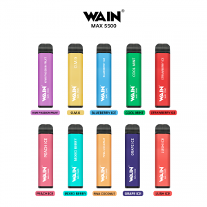 Wain Max Bar Disposable Pod Kit 5500Puffs 10PC