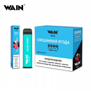 Russia Version Wain Max Bar Disposable Pod Kit 5500Puffs 10PC