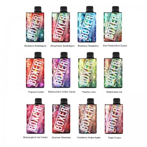 Hugo Vapor BOXER Kit 7000Puffs 10pcs