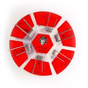Demon Killer Flame Coil 6 In 1 Kit Ni80